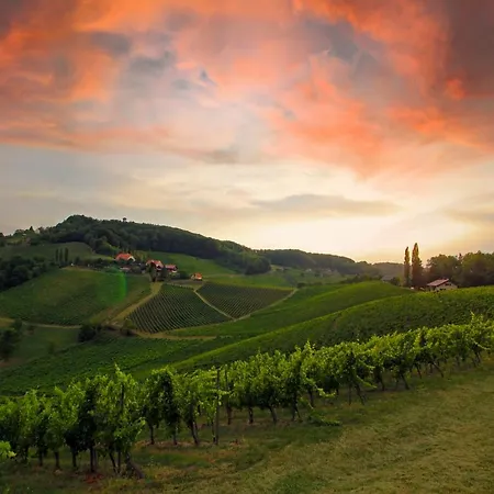 *brandnew* Modernes In Den Weinbergen Mit Pool Und Sauna *