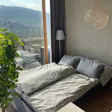 *brandnew* Modernes In Den Weinbergen Mit Pool Und Sauna Apartment Spielfeld