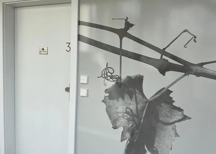 *brandnew* Modernes In Den Weinbergen Mit Pool Und Sauna * Spielfeld