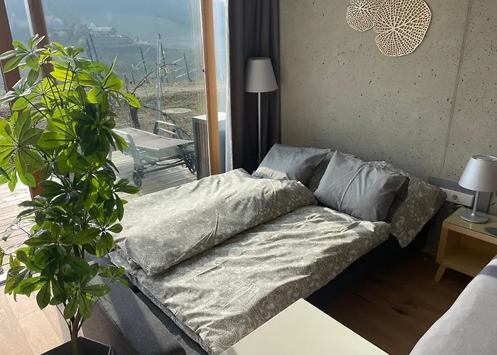 *brandnew* Modernes In Den Weinbergen Mit Pool Und Sauna * 施皮尔费尔德