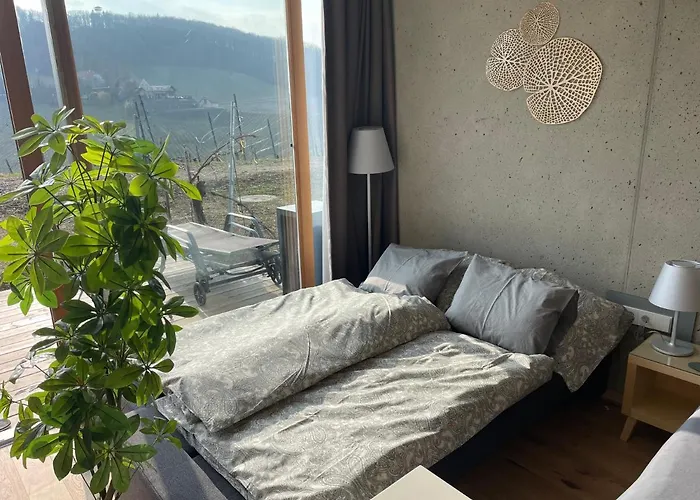 *brandnew* Modernes In Den Weinbergen Mit Pool Und Sauna Διαμέρισμα Spielfeld