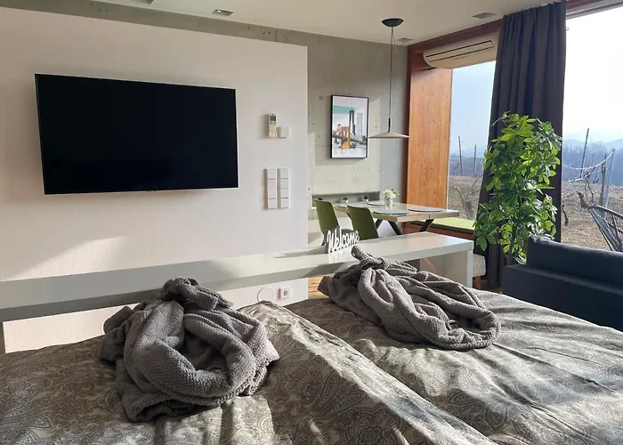 公寓 *brandnew* Modernes In Den Weinbergen Mit Pool Und Sauna